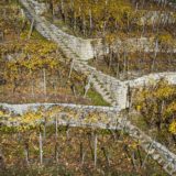 27_DJI_0631