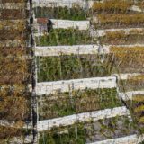 28_DJI_0637