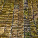 29_DJI_0699