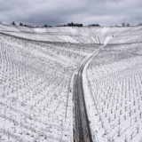 DJI_0818