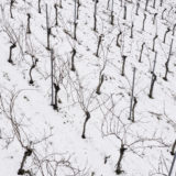 DJI_0864
