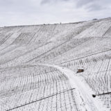 DJI_0872